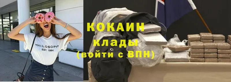 где купить наркоту  shop официальный сайт  Cocaine Fish Scale  Козьмодемьянск 